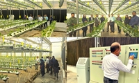 برگزاری تور علمی بررسی ظرفیت گلخانه‌های مکانیزه و هوشمند