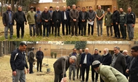 کاشت 350 اصله نهال غیر مثمر در سازمان پژوهش‌های علمی و صنعتی ایران