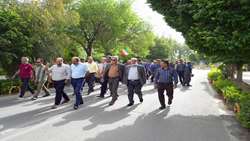 پیاده روی عمومی همکاران سازمان پژوهش‌های علمی و صنعتی ایران به مناسبت دهه کرامت