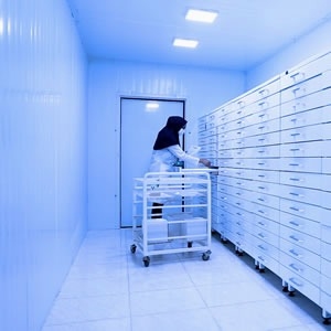 مراکز سازمان